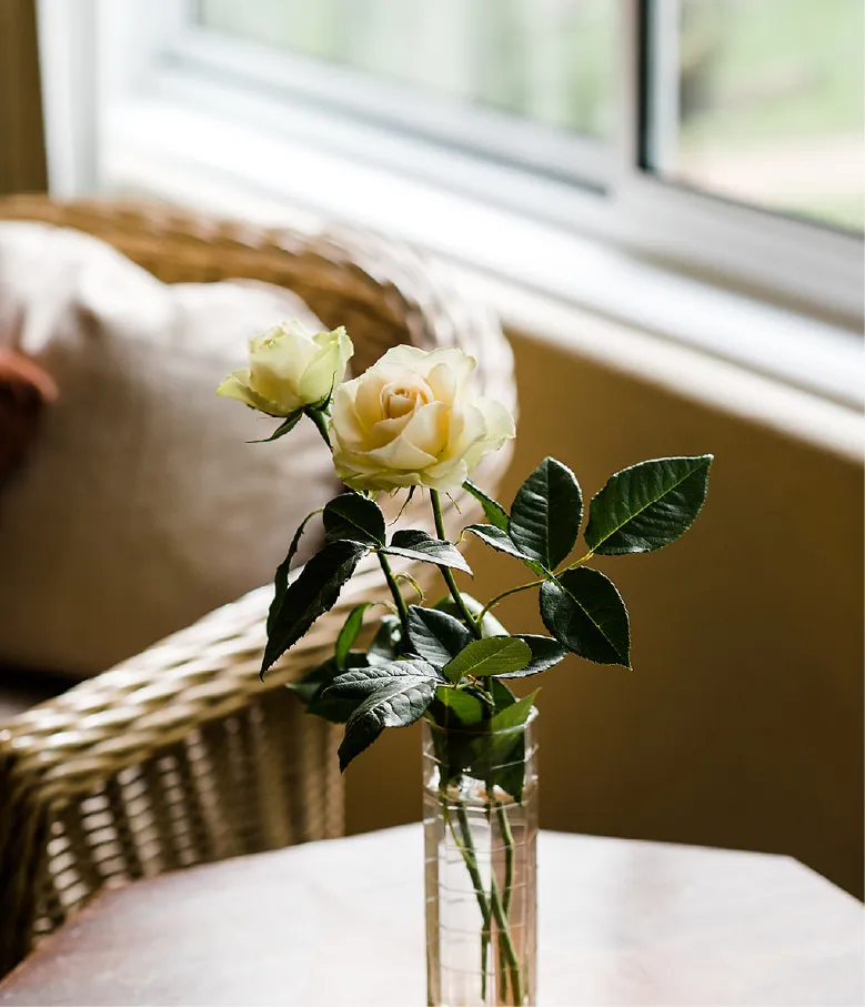 A white rose on a table at the property.